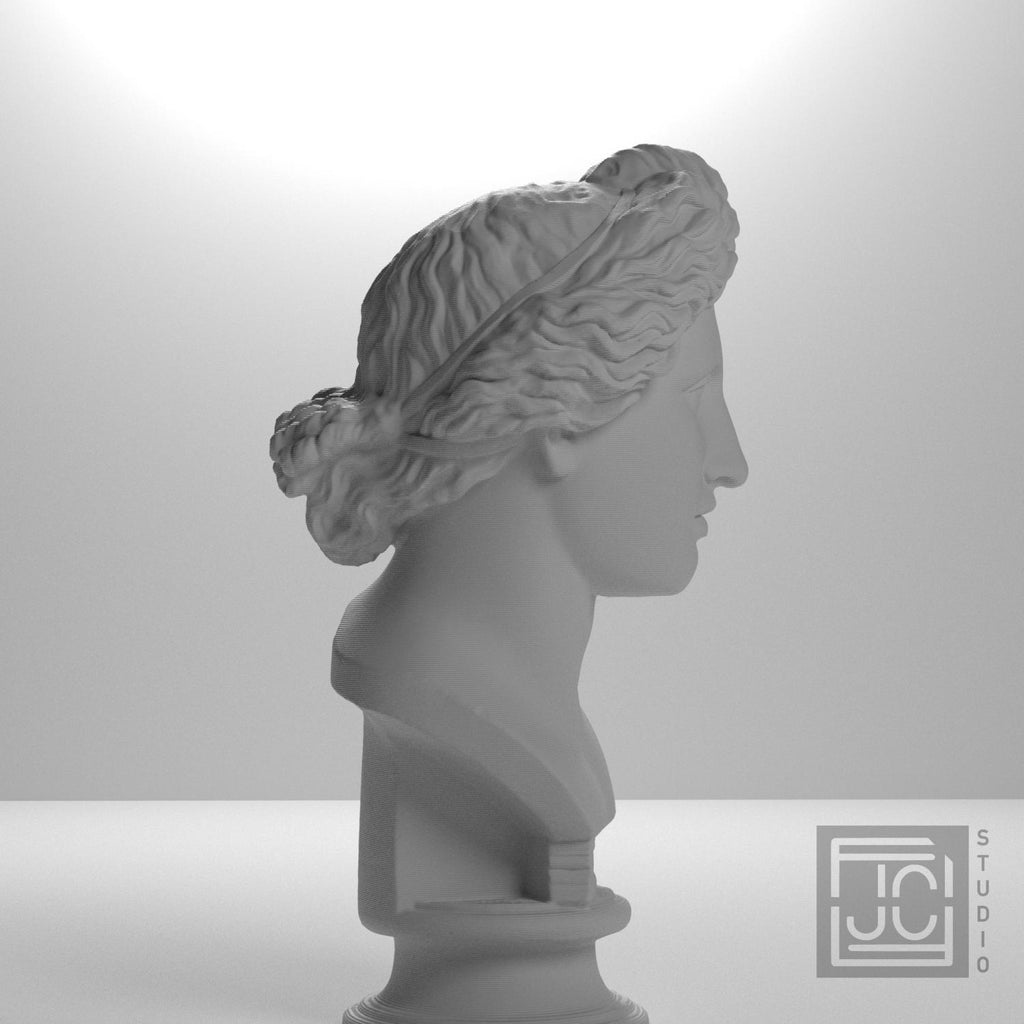 Bust of the Apollo Lykeios supplemental reference photo 7