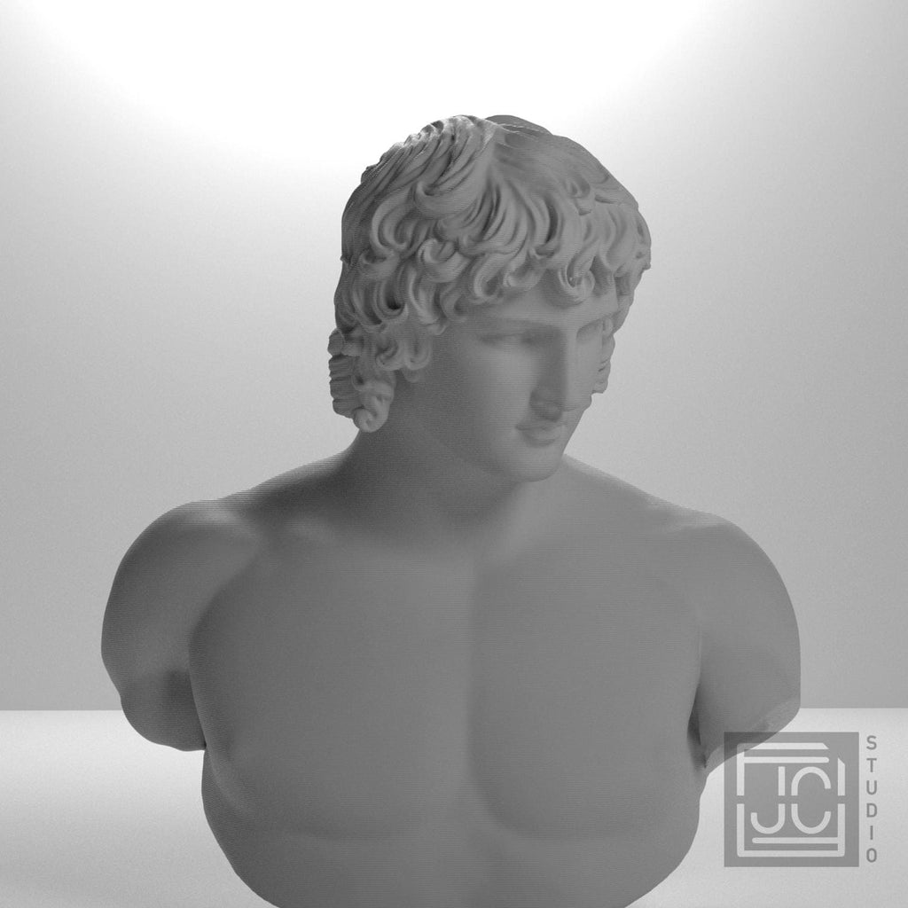 Portrait of Antinous supplemental reference photo 5