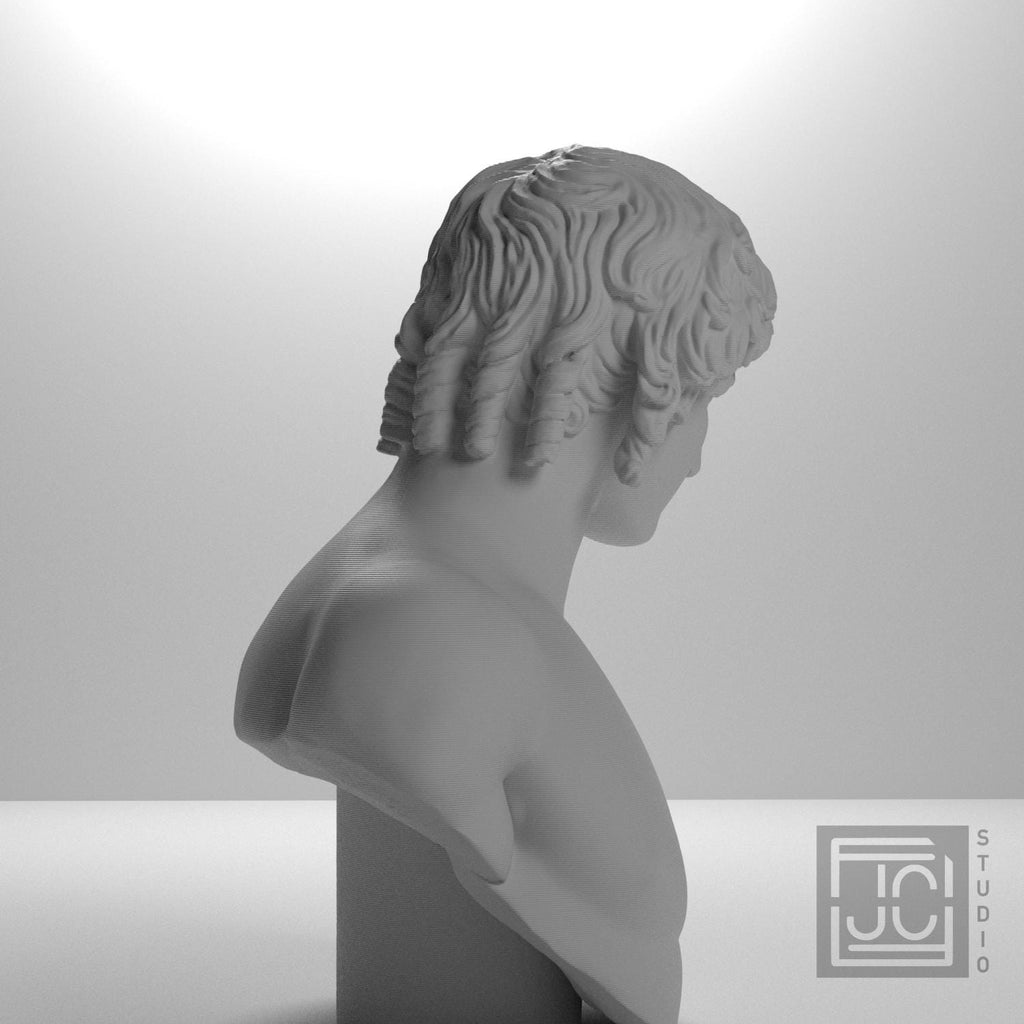 Portrait of Antinous supplemental reference photo 7