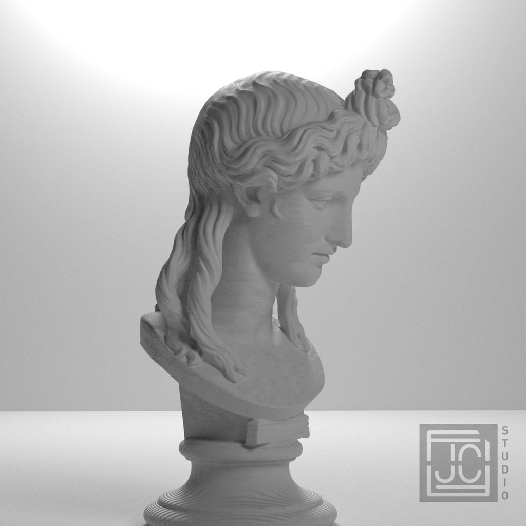 Head of a Woman or Apollo supplemental reference photo 6