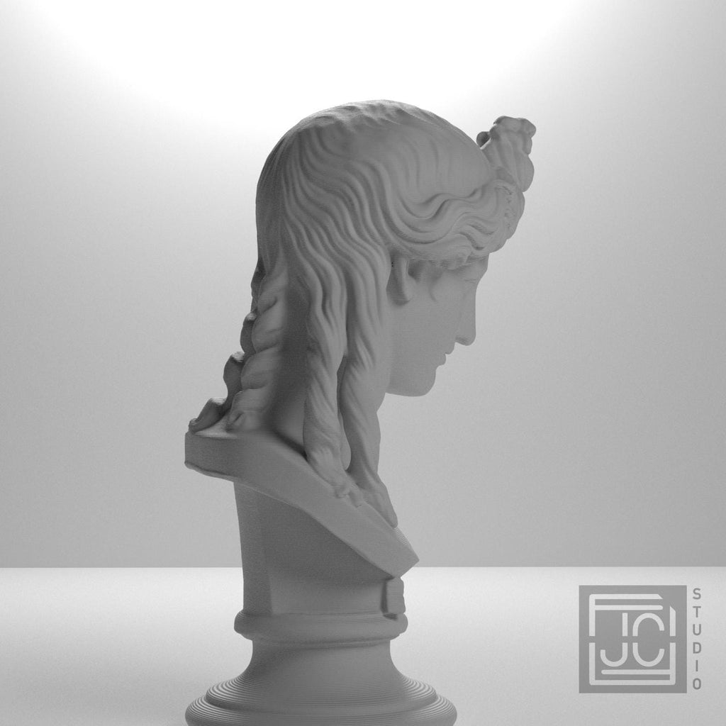 Head of a Woman or Apollo supplemental reference photo 7
