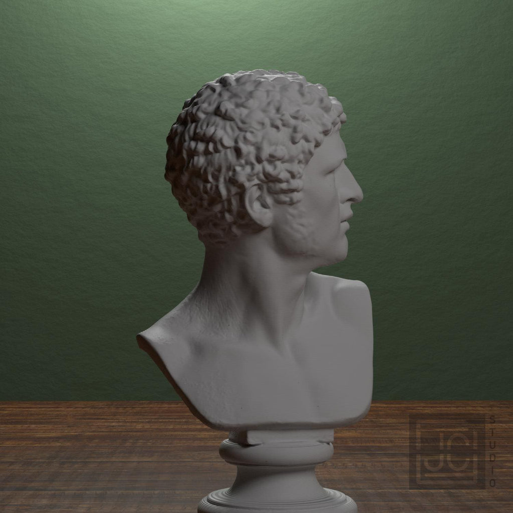 Head of a Man supplemental reference photo 1