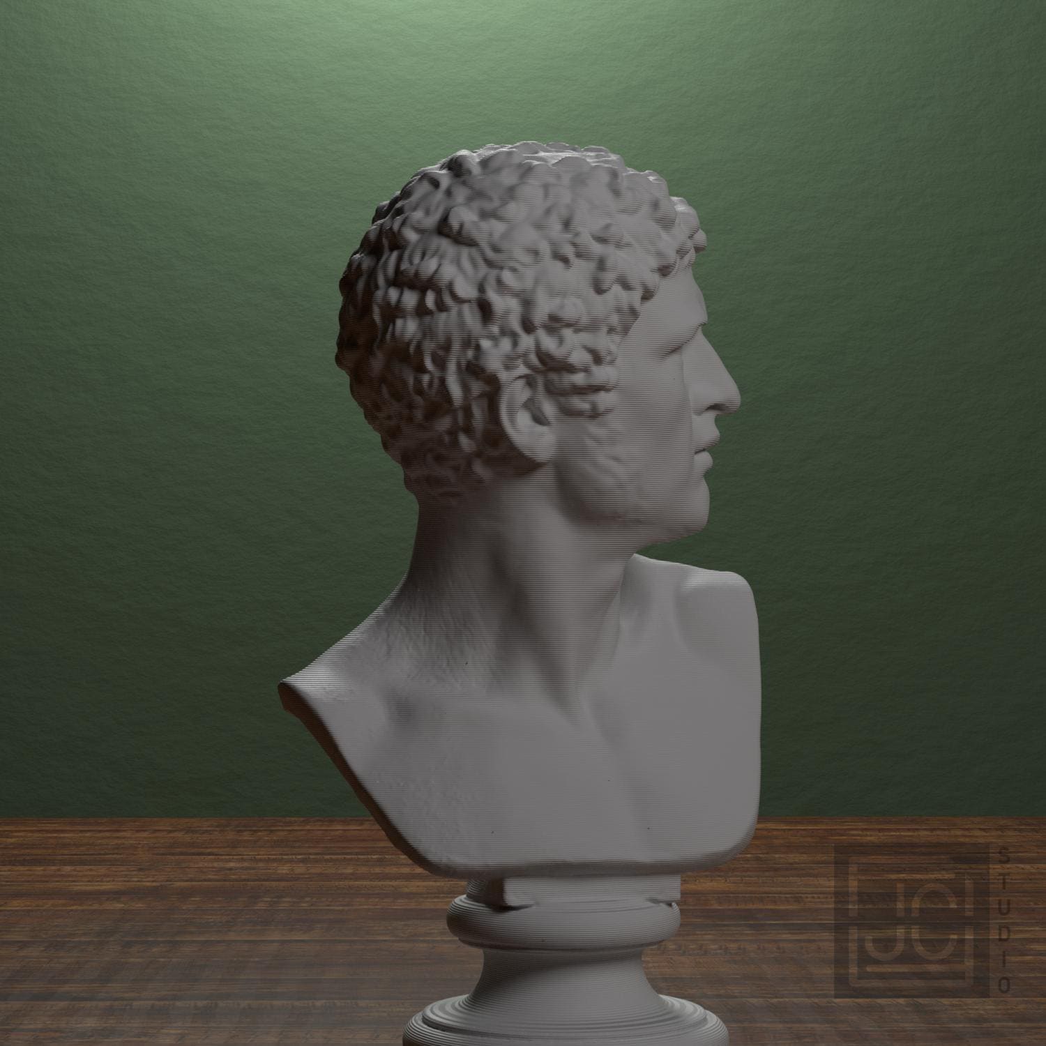 Head of a Man supplemental reference photo 1