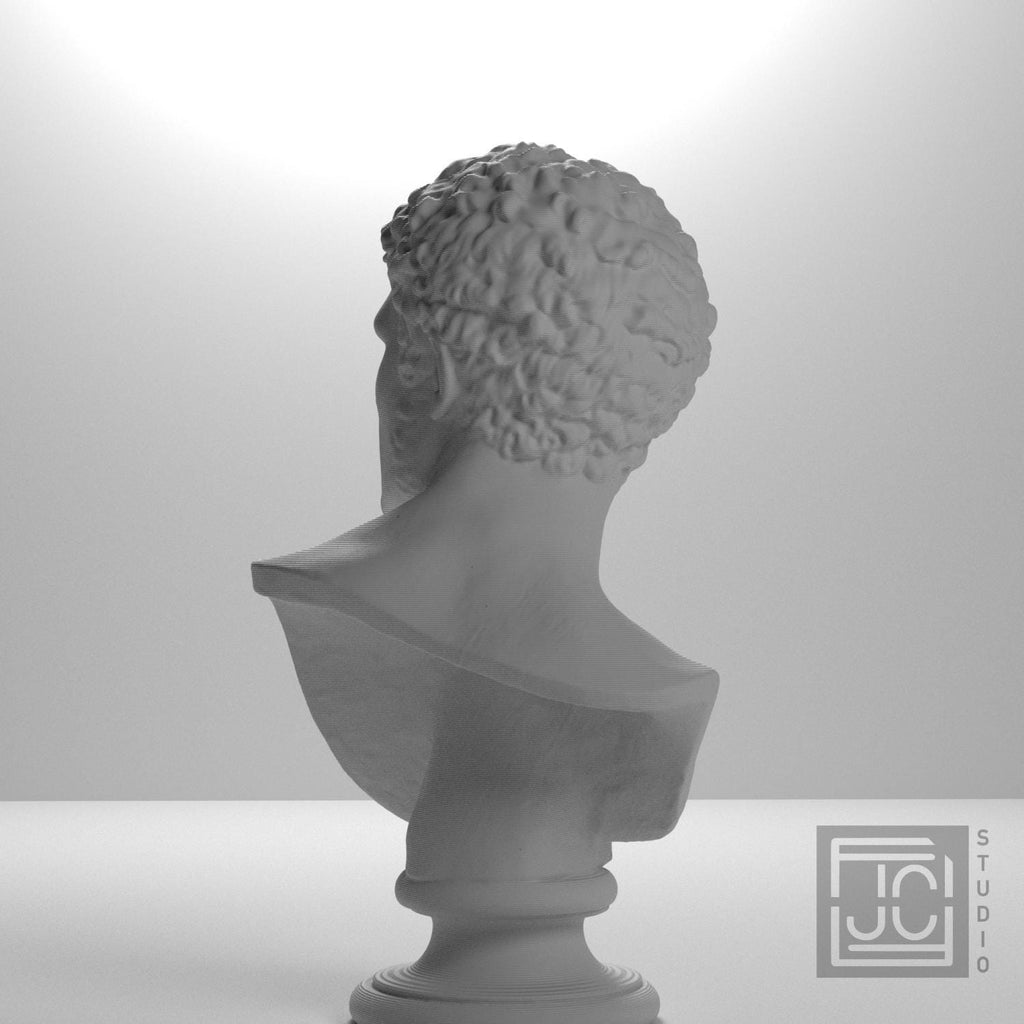 Head of a Man supplemental reference photo 8