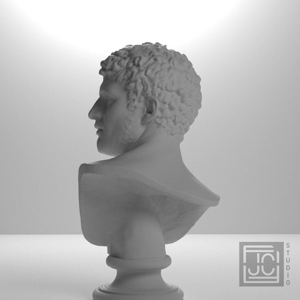 Head of a Man supplemental reference photo 9