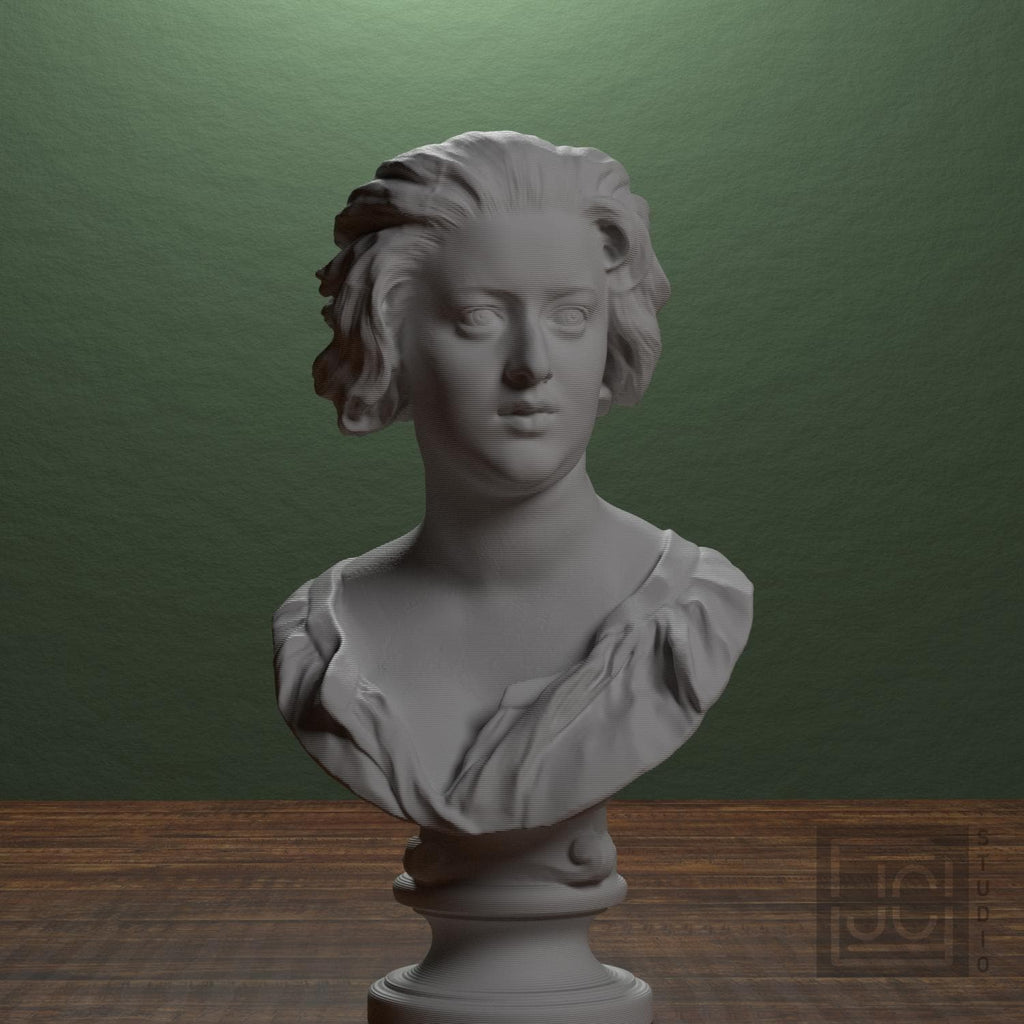 Bust of Costanza Bonarelli supplemental reference photo 1