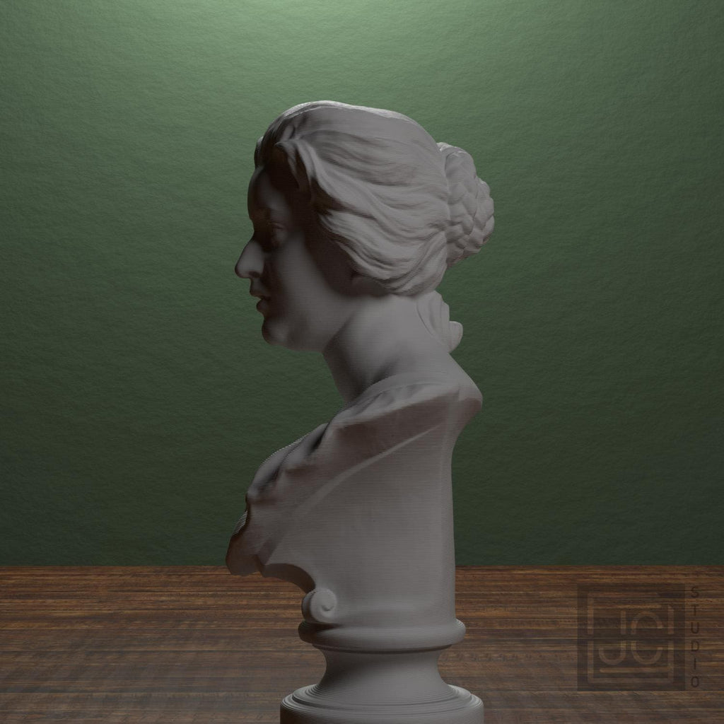 Bust of Costanza Bonarelli supplemental reference photo 4