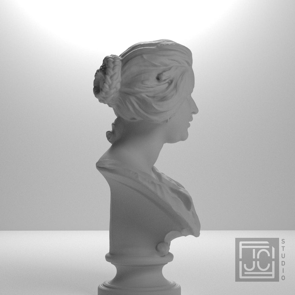 Bust of Costanza Bonarelli supplemental reference photo 7