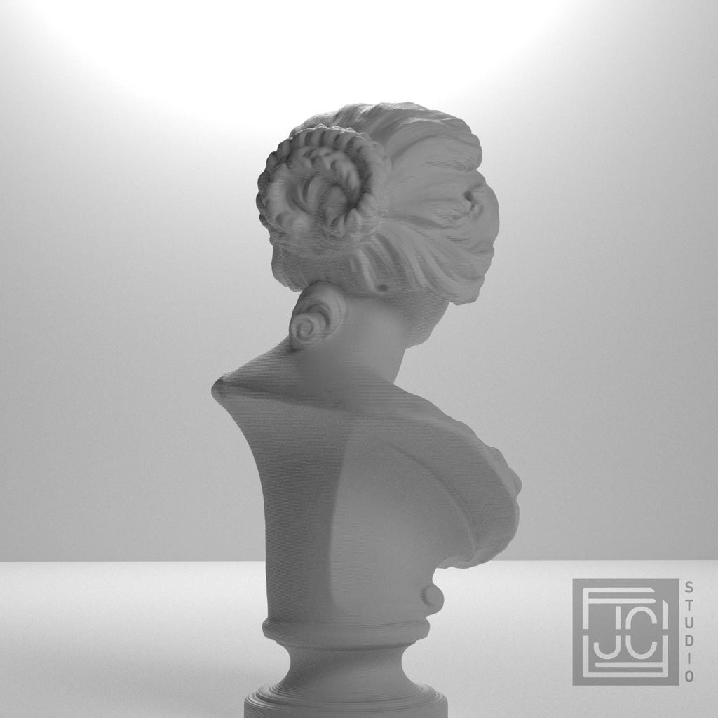 Bust of Costanza Bonarelli supplemental reference photo 8