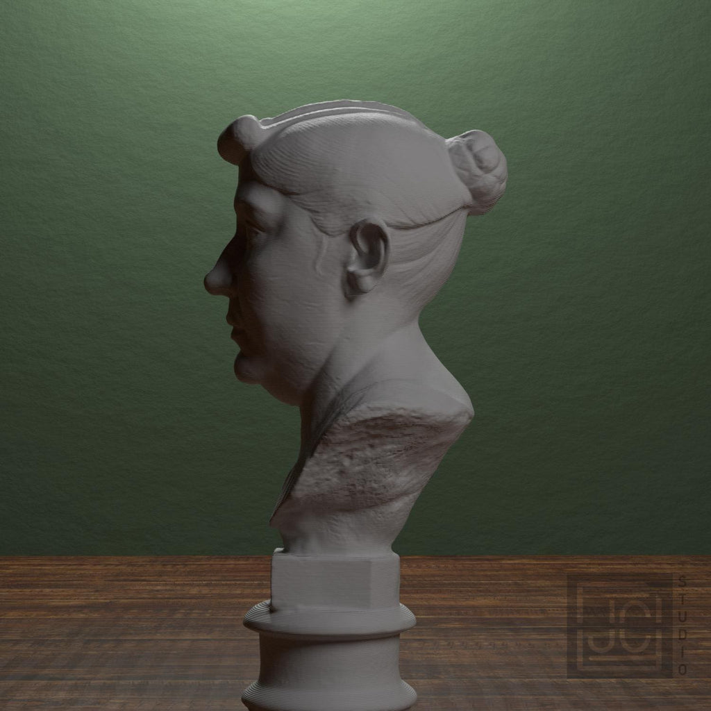 Bust of an elderly Roman woman supplemental reference photo 4