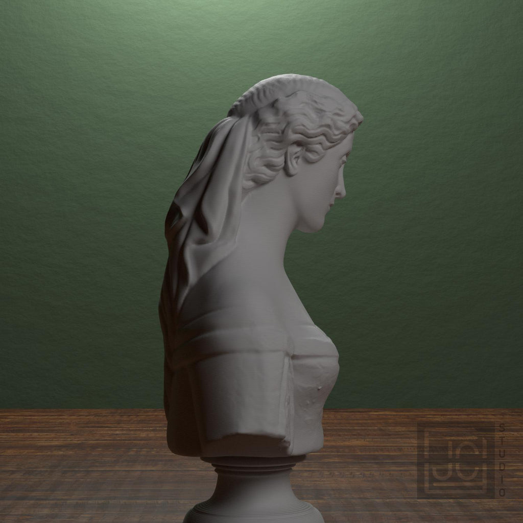 Cordelia supplemental reference photo 2