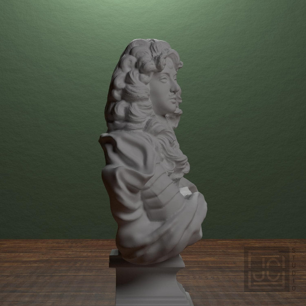 Louis XIV supplemental reference photo 2