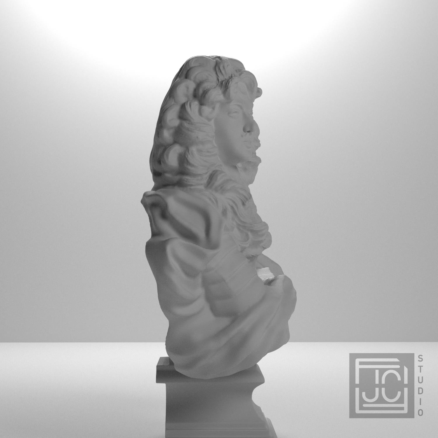Louis XIV supplemental reference photo 7