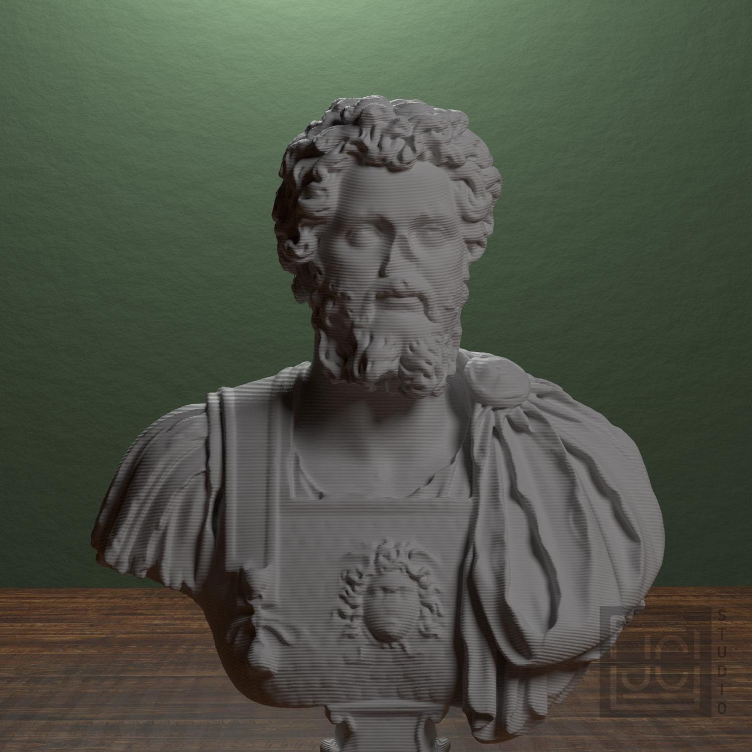 Bust of Septimius Severus supplemental reference photo 1