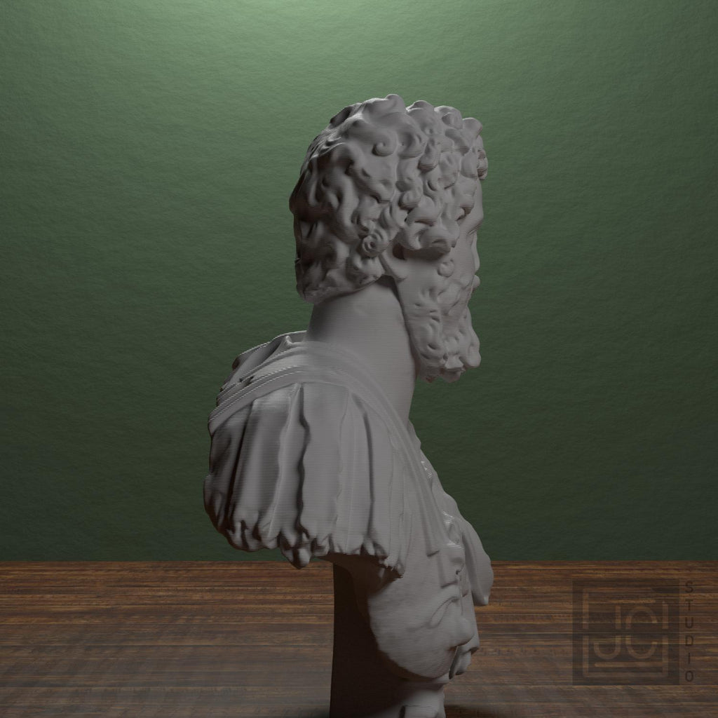 Bust of Septimius Severus supplemental reference photo 2