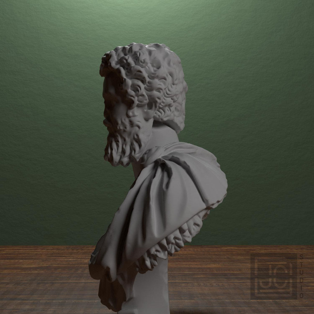 Bust of Septimius Severus supplemental reference photo 4