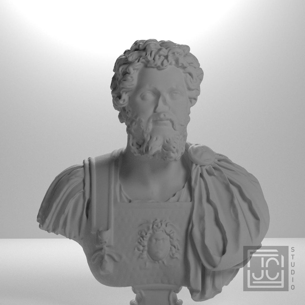 Bust of Septimius Severus supplemental reference photo 5