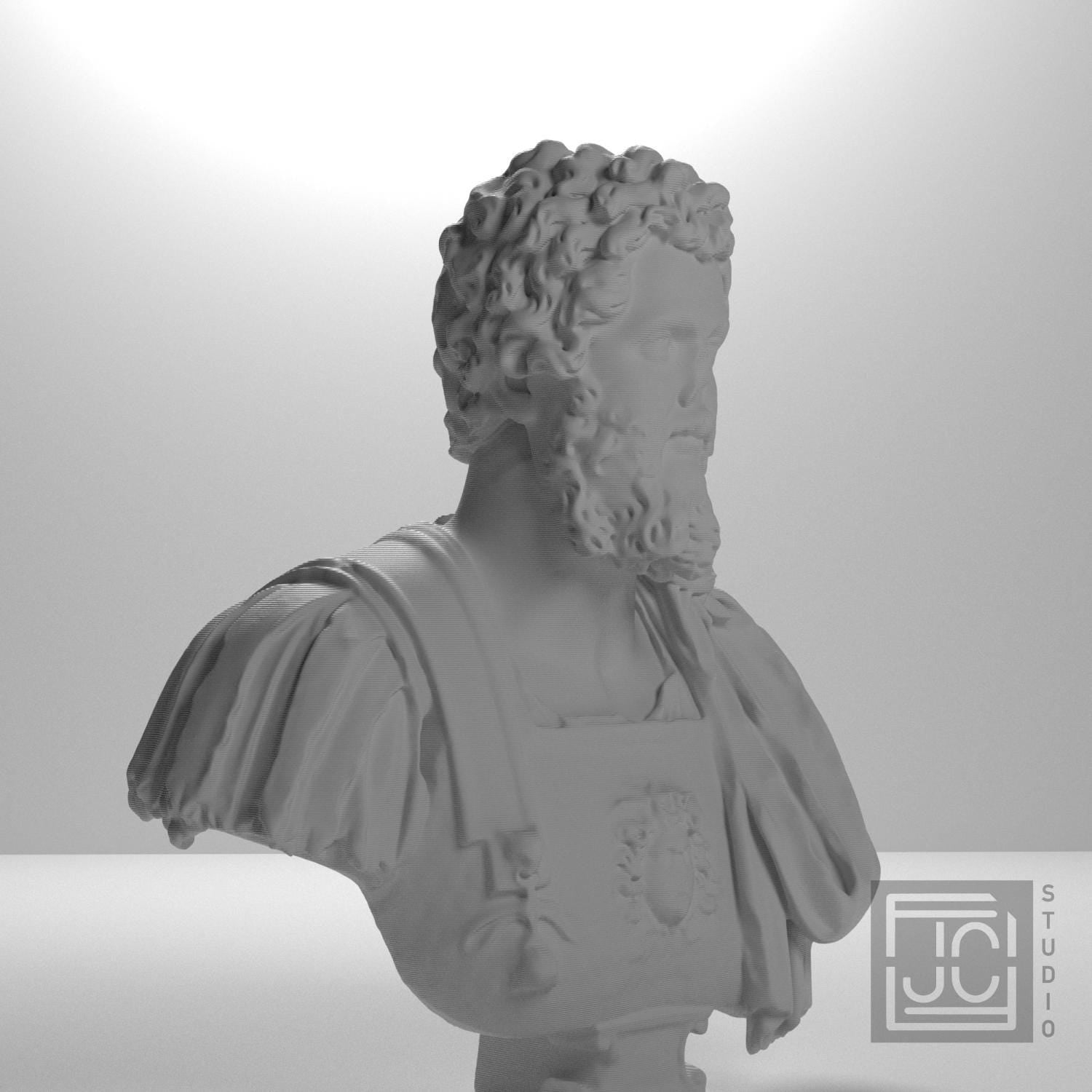 Bust of Septimius Severus supplemental reference photo 6