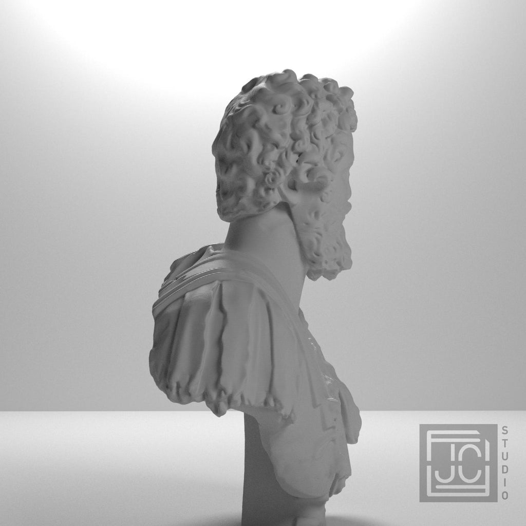 Bust of Septimius Severus supplemental reference photo 7