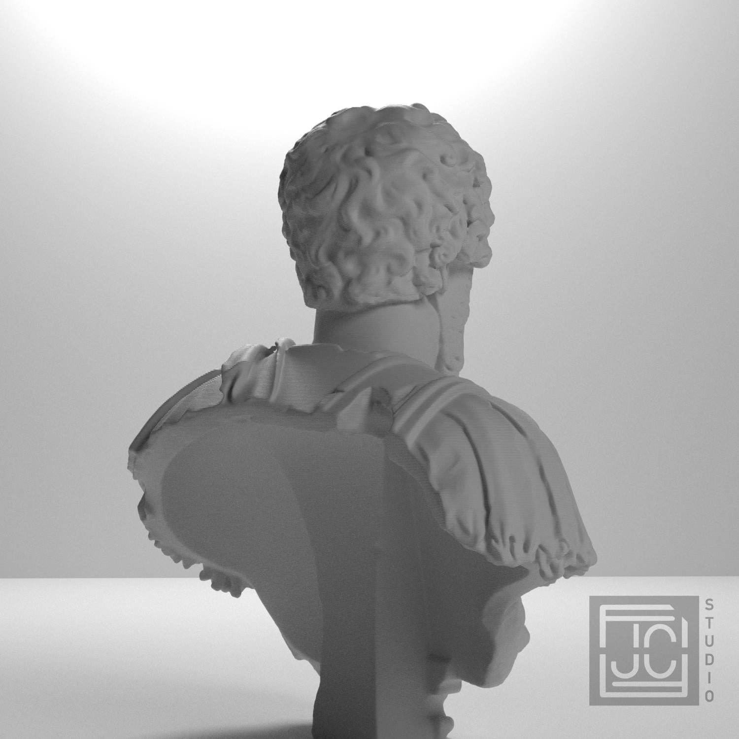 Bust of Septimius Severus supplemental reference photo 8