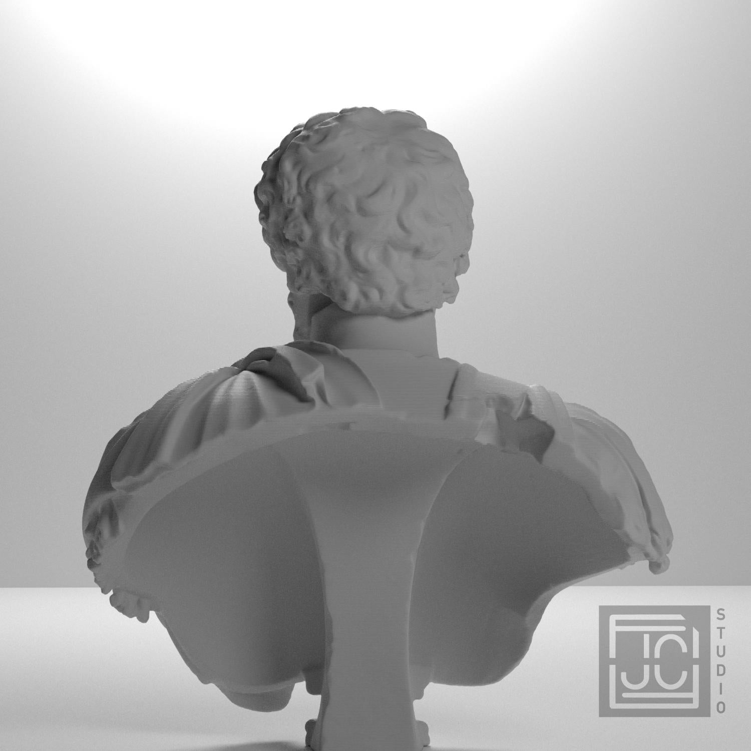Bust of Septimius Severus supplemental reference photo 9