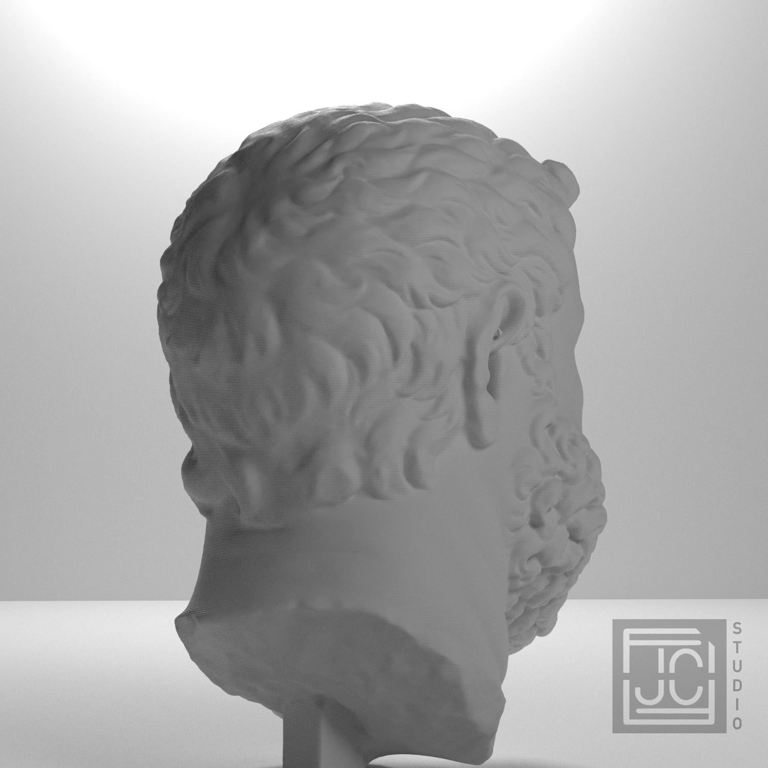 Head of Emperor Maximian supplemental reference photo 8