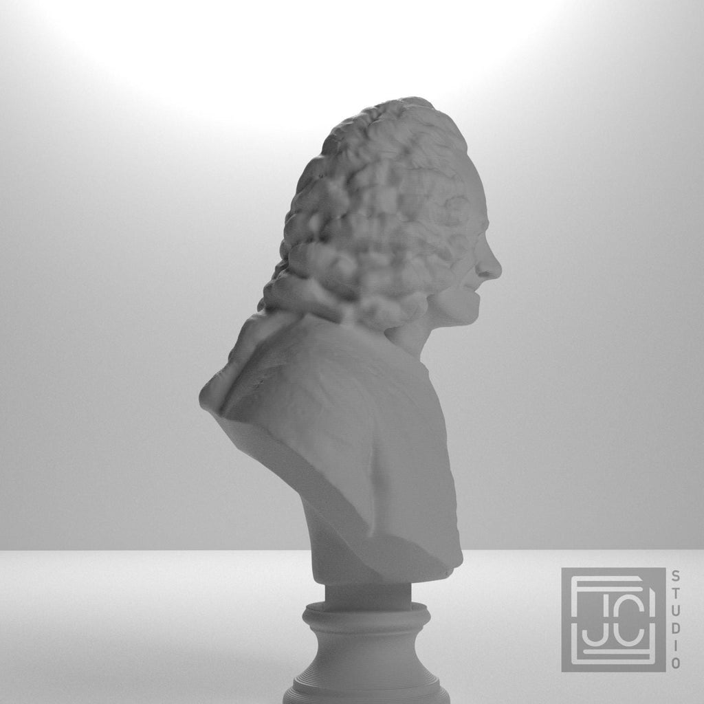Voltaire supplemental reference photo 7