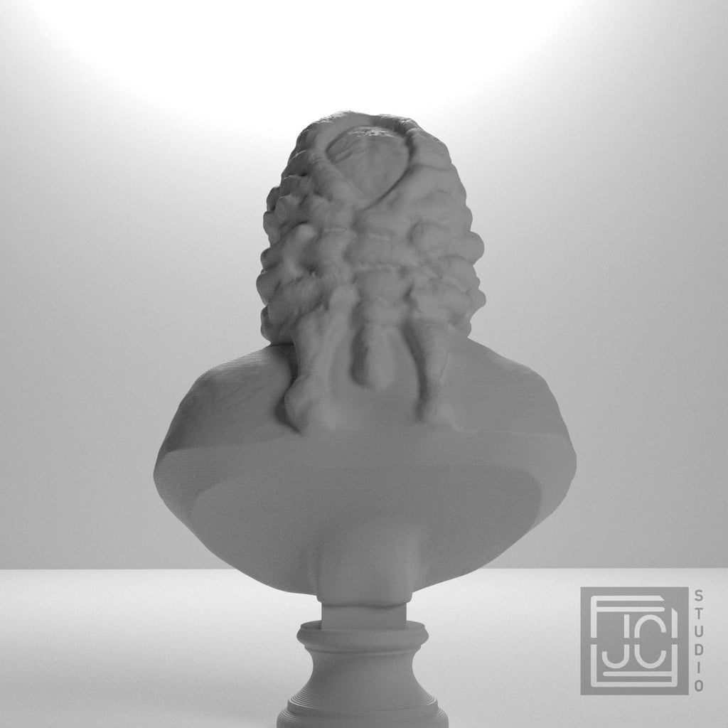 Voltaire supplemental reference photo 9