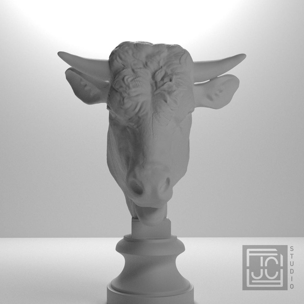 Head of a Bull supplemental reference photo 5
