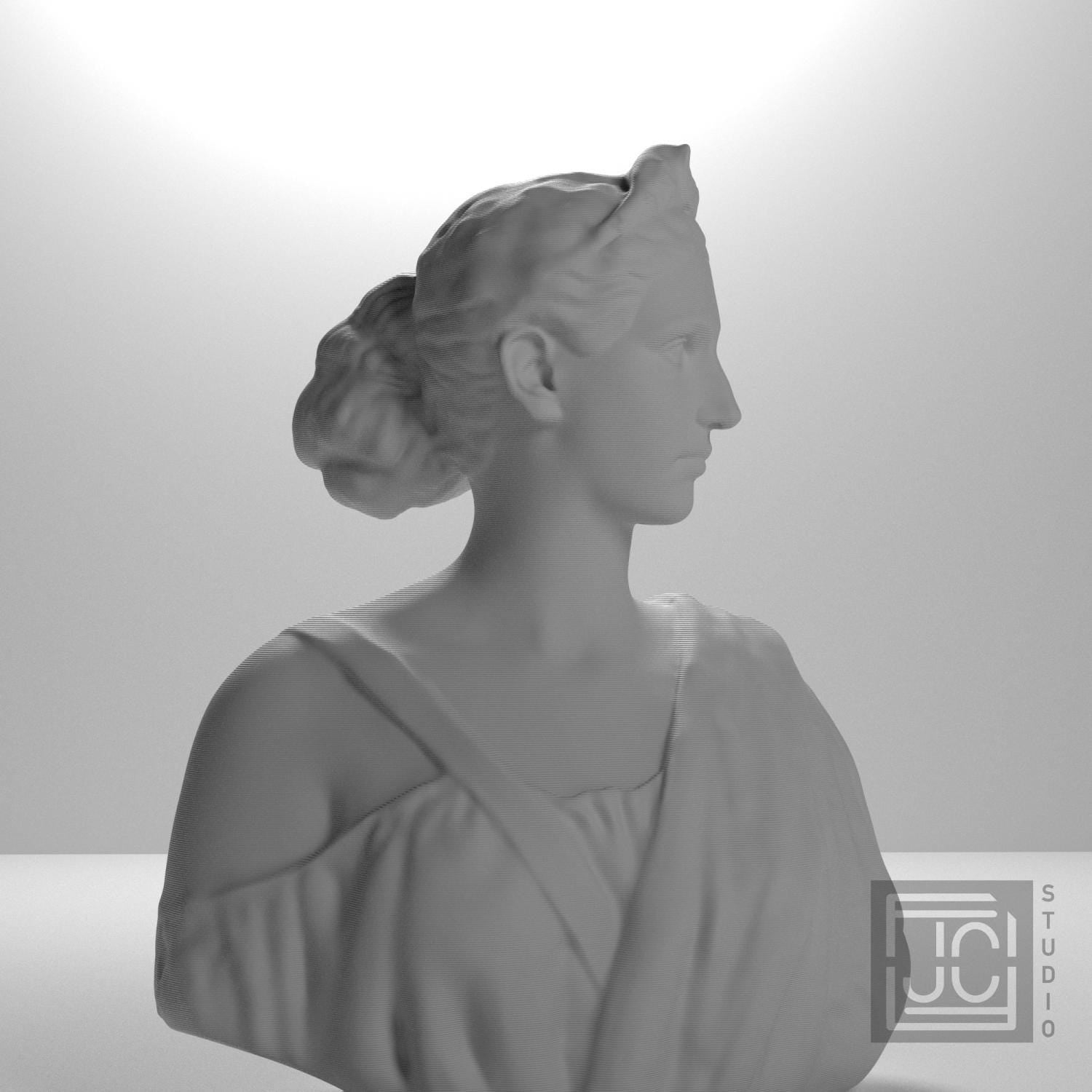 Diana supplemental reference photo 5