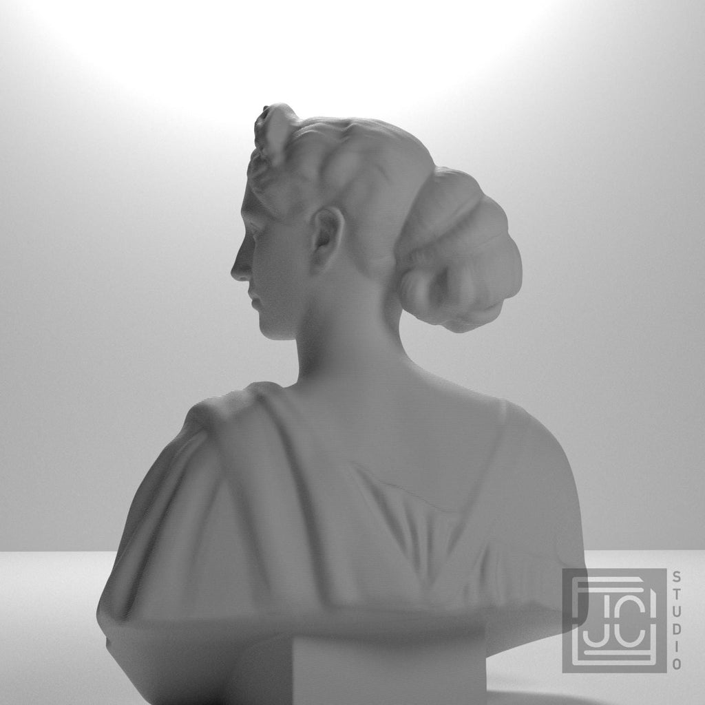 Diana supplemental reference photo 9