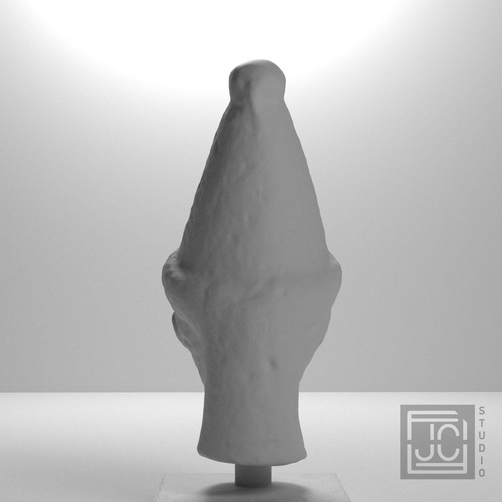 Head of a Priest supplemental reference photo 9
