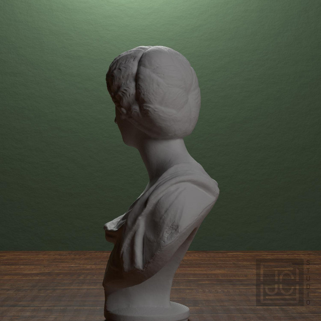 Marble Bust of a Roman Woman supplemental reference photo 4