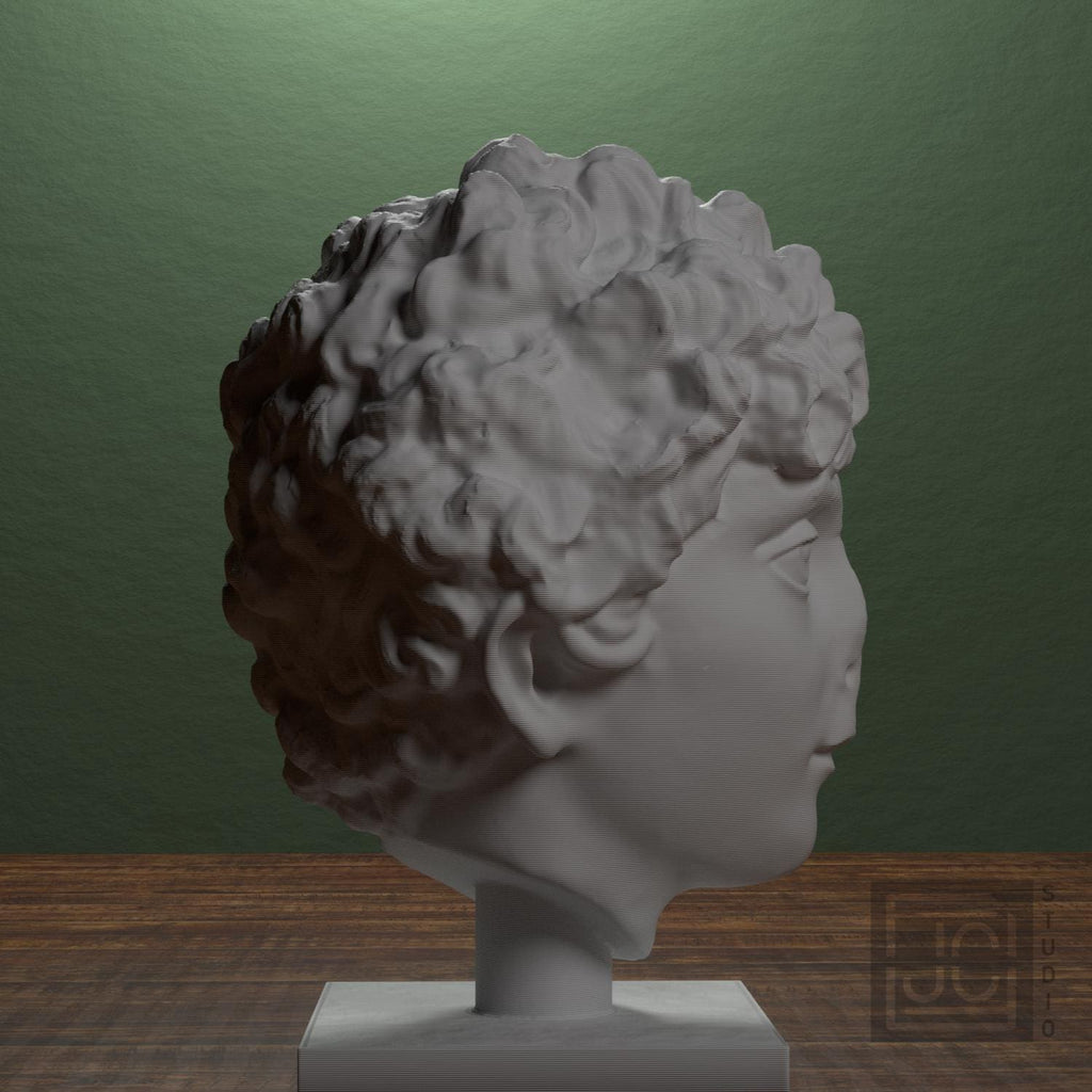 Head of a Roman Youth supplemental reference photo 2