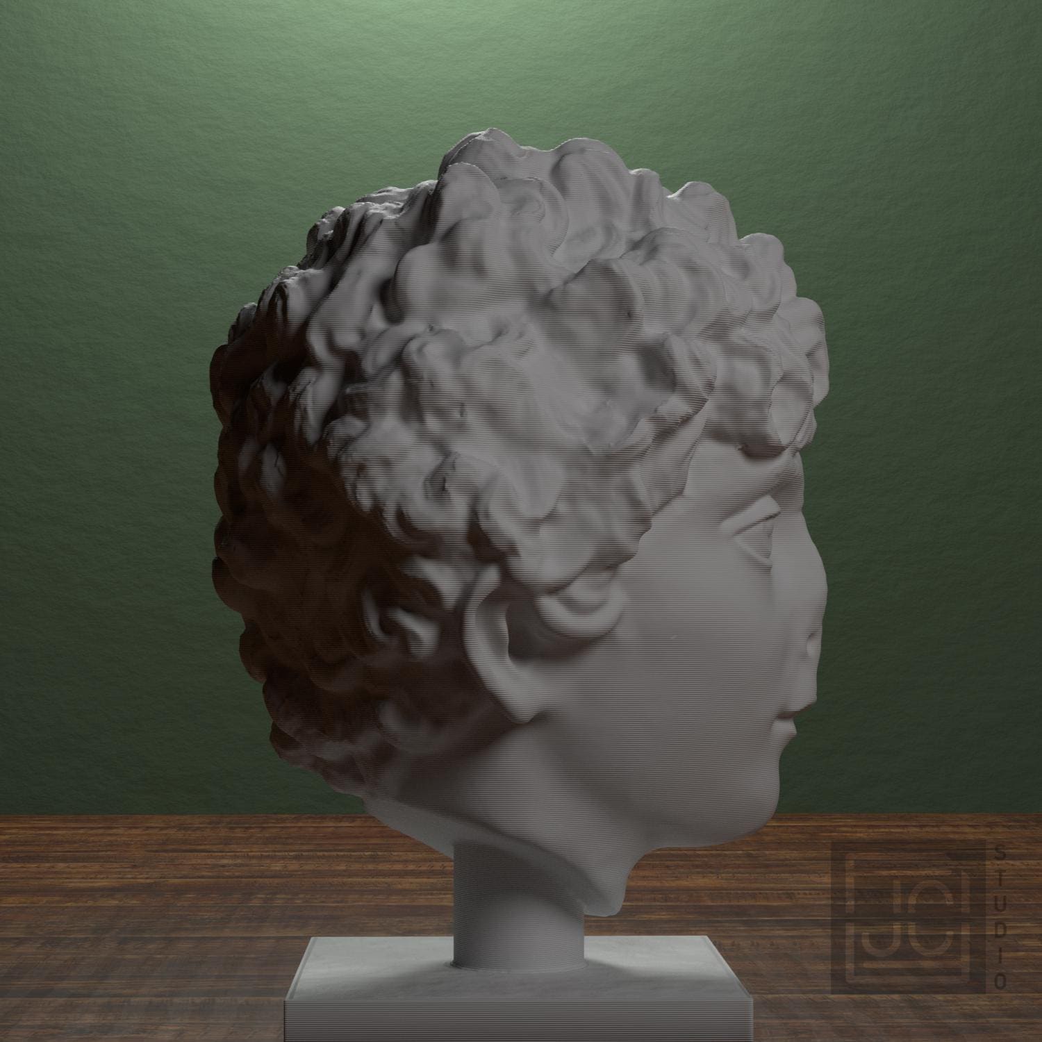 Head of a Roman Youth supplemental reference photo 2