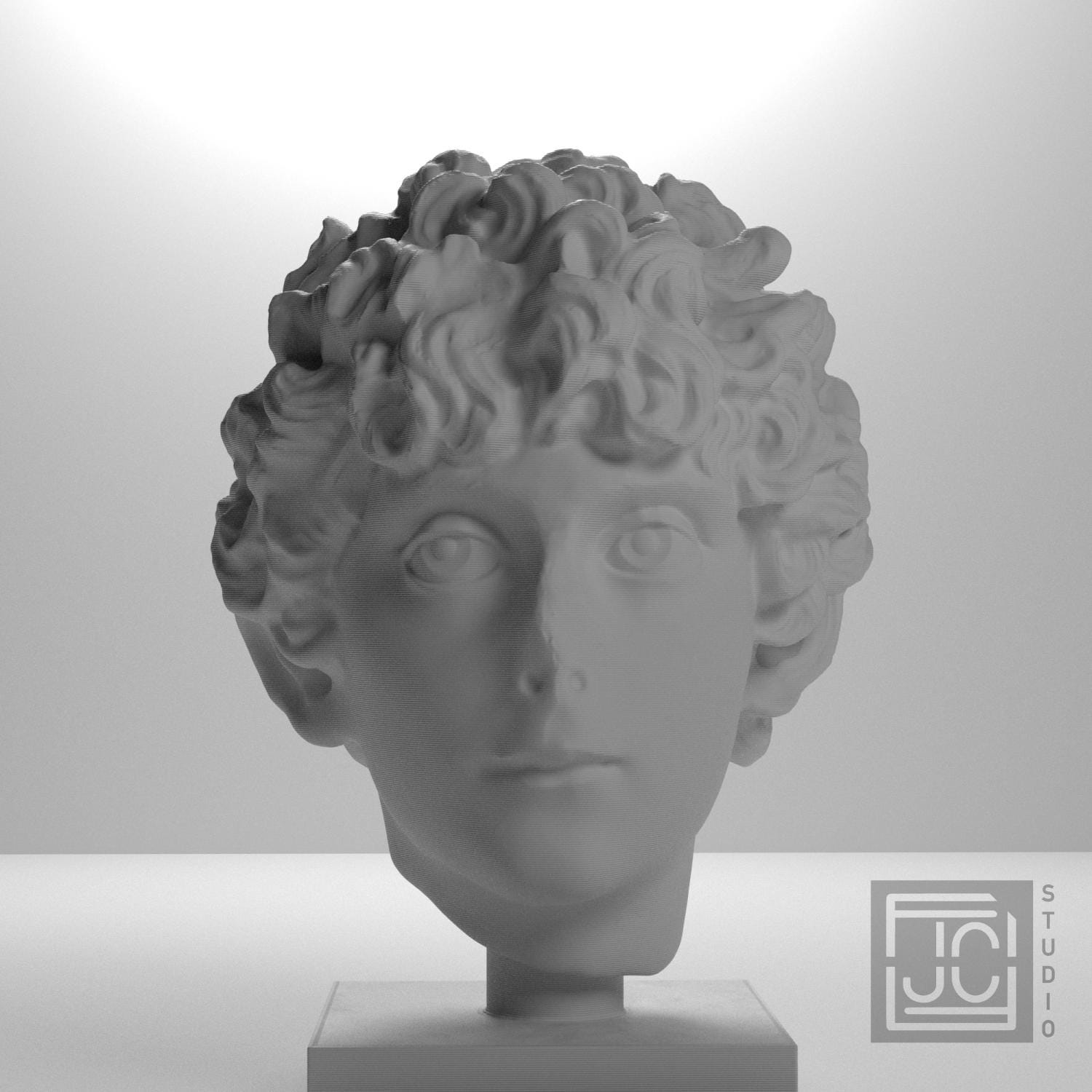 Head of a Roman Youth supplemental reference photo 5