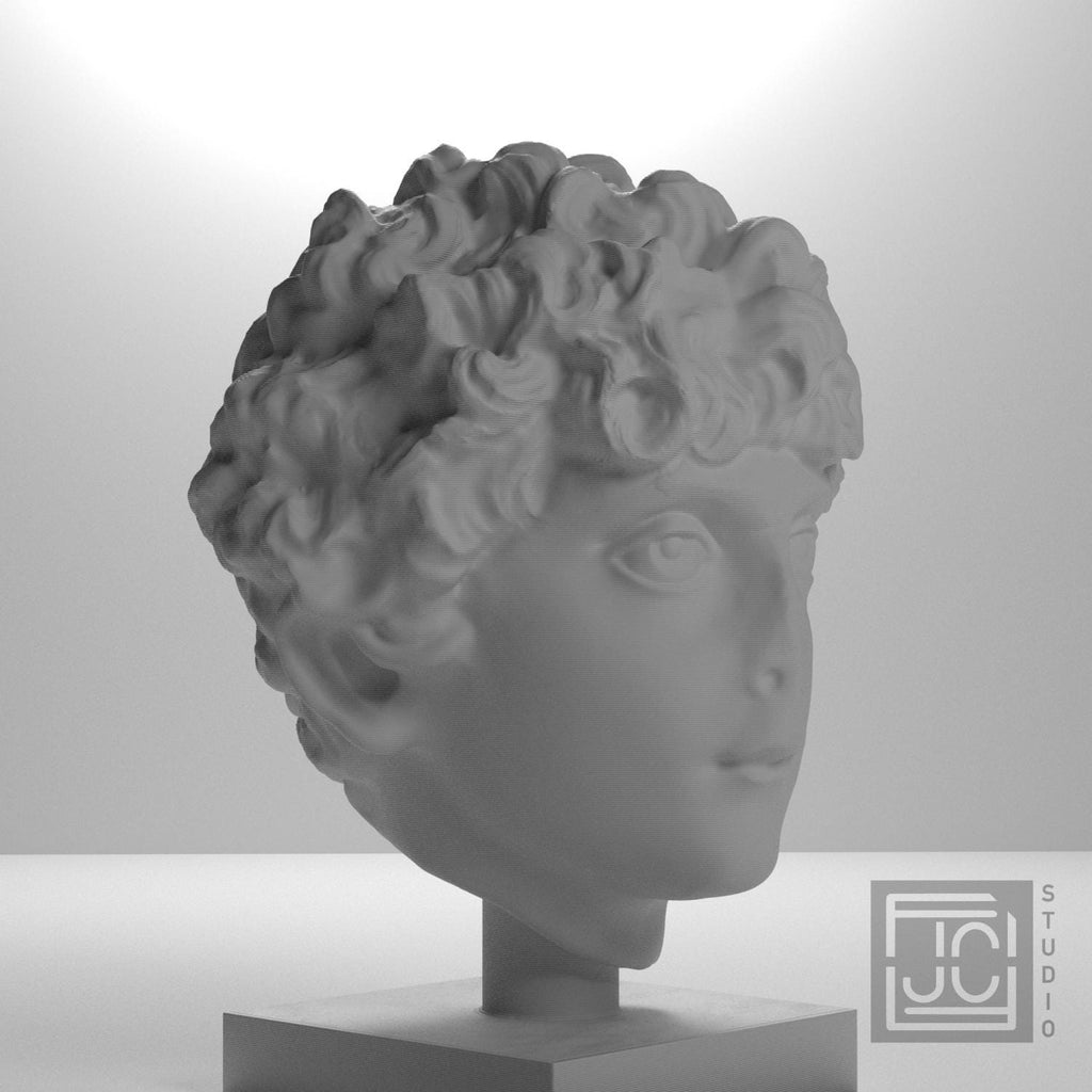 Head of a Roman Youth supplemental reference photo 6