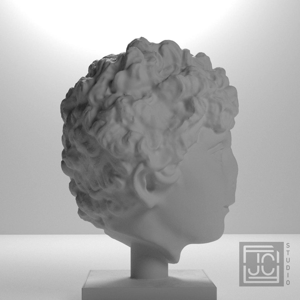 Head of a Roman Youth supplemental reference photo 7