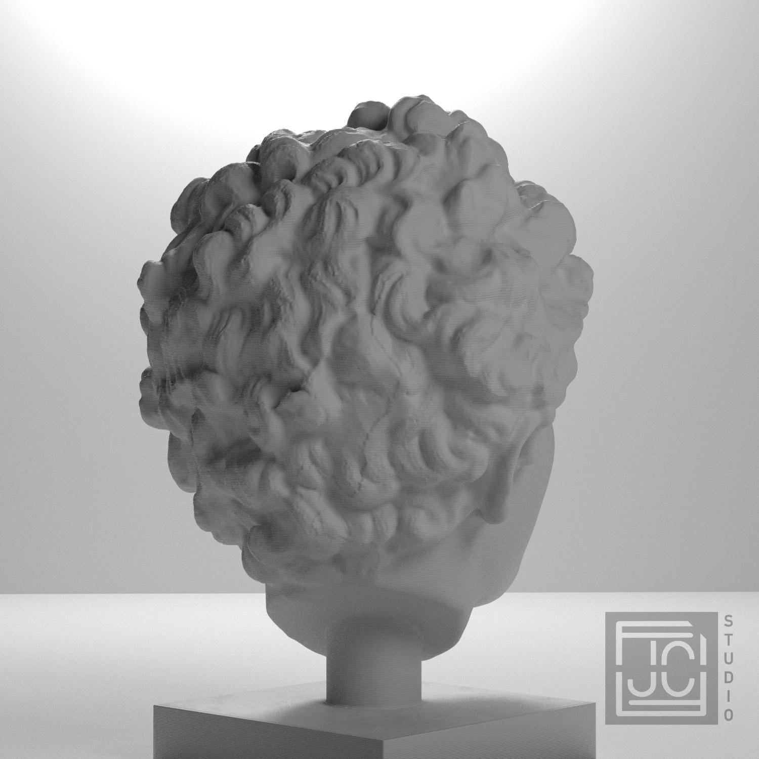 Head of a Roman Youth supplemental reference photo 8