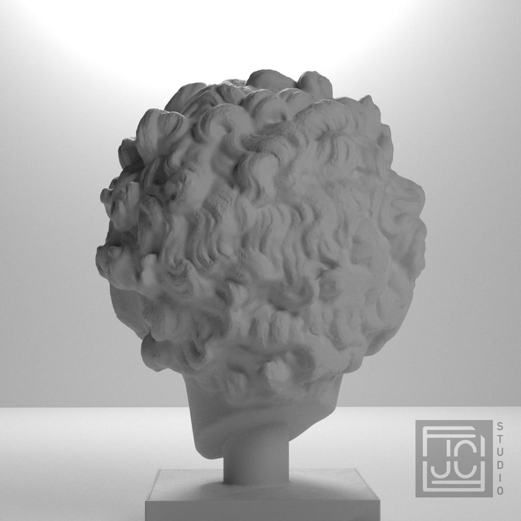 Head of a Roman Youth supplemental reference photo 9