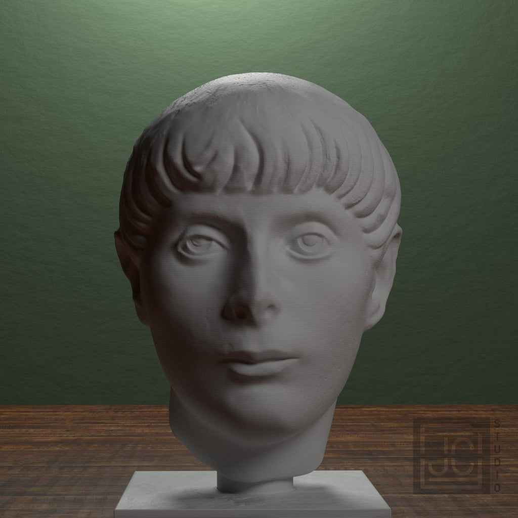 Head of a Young Man supplemental reference photo 1