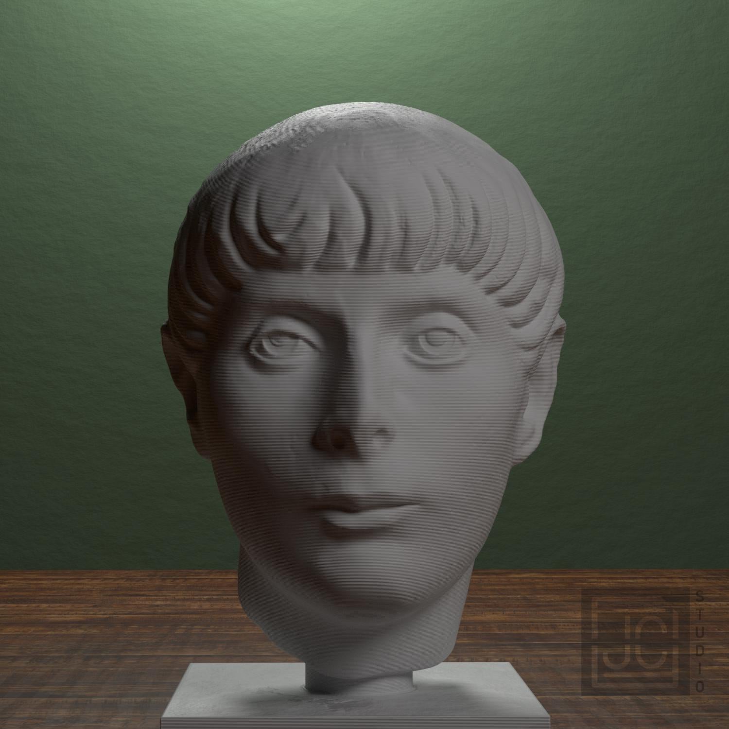 Head of a Young Man supplemental reference photo 1
