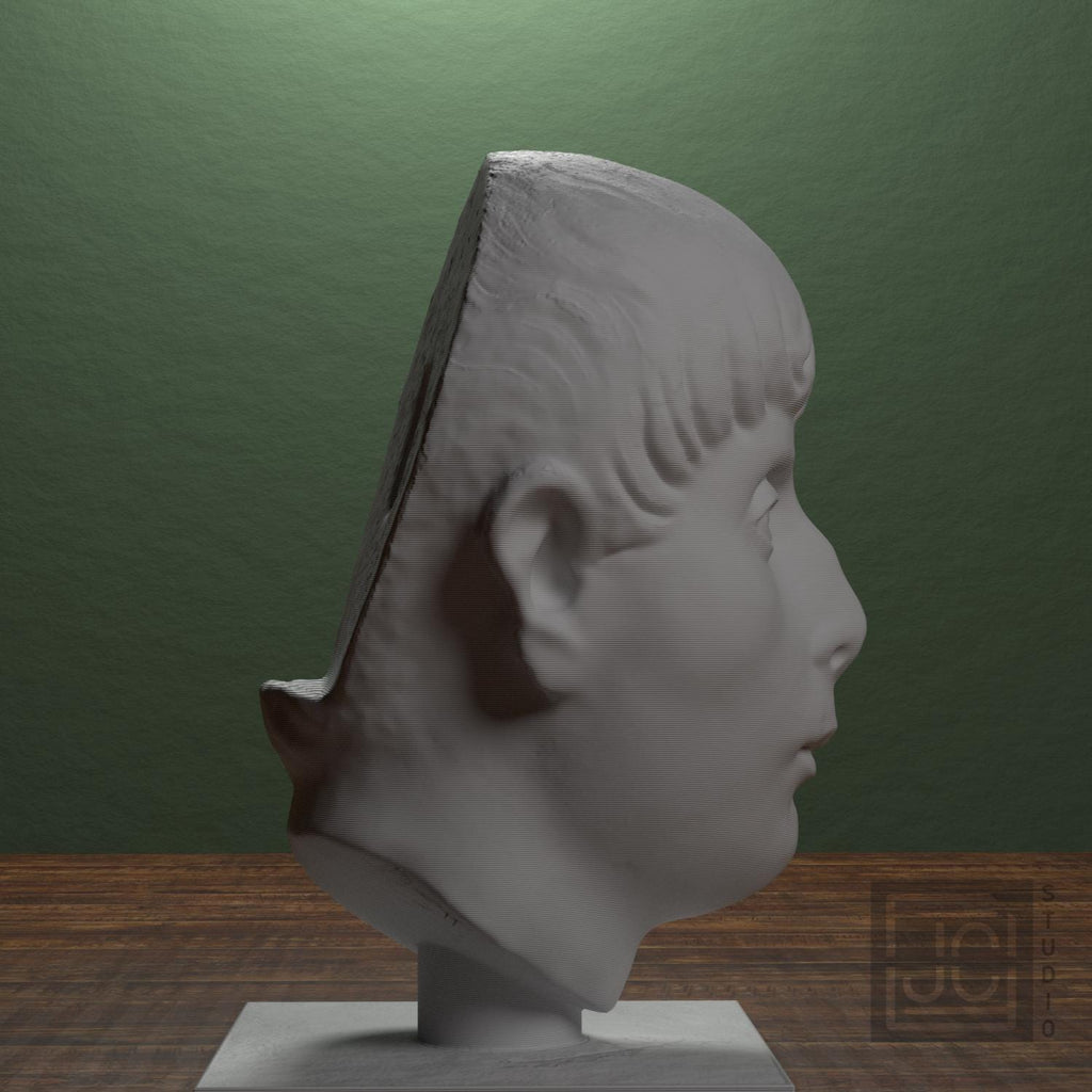 Head of a Young Man supplemental reference photo 2