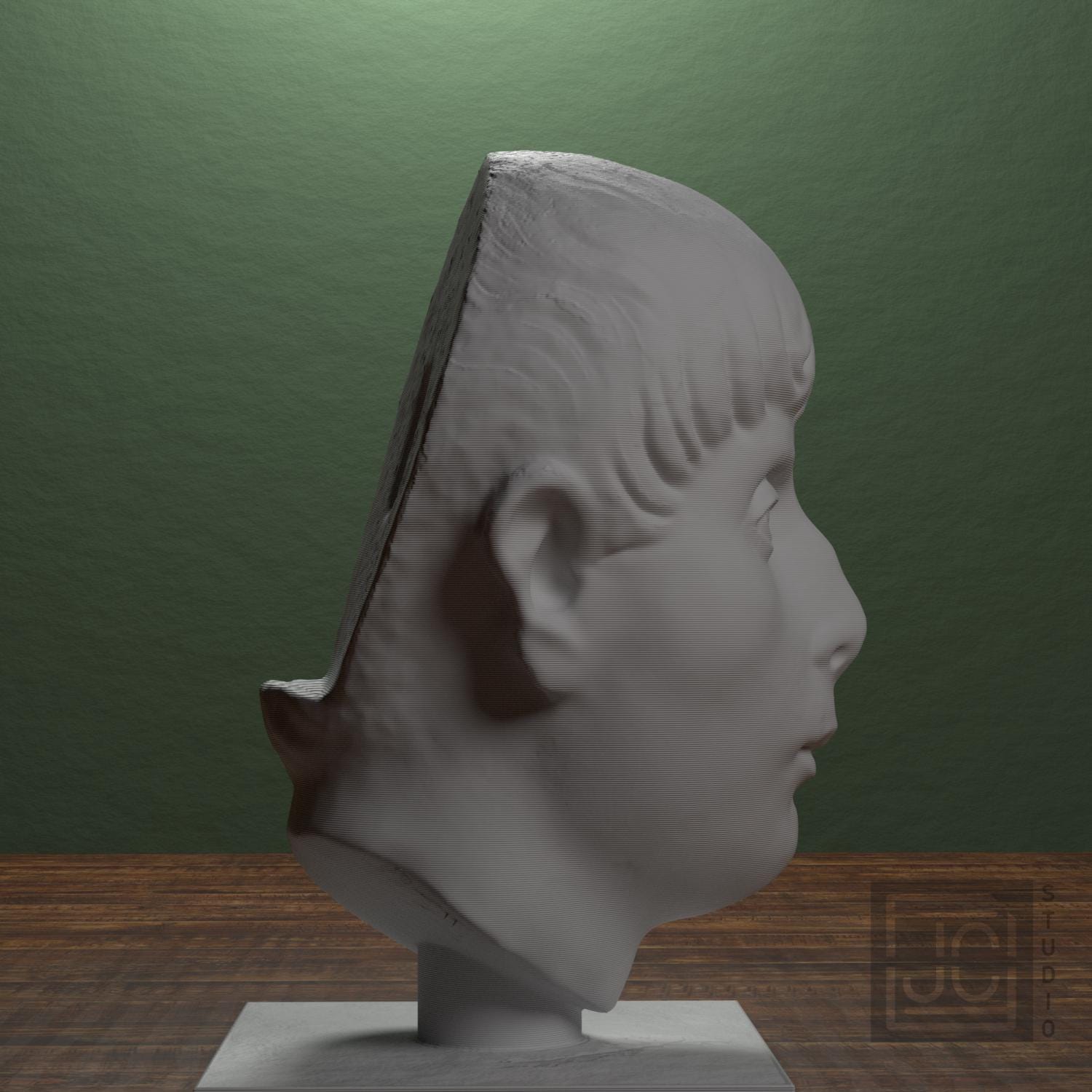 Head of a Young Man supplemental reference photo 2