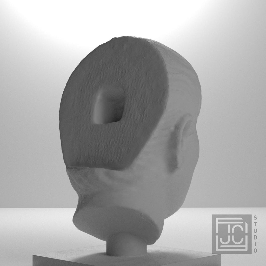 Head of a Young Man supplemental reference photo 8