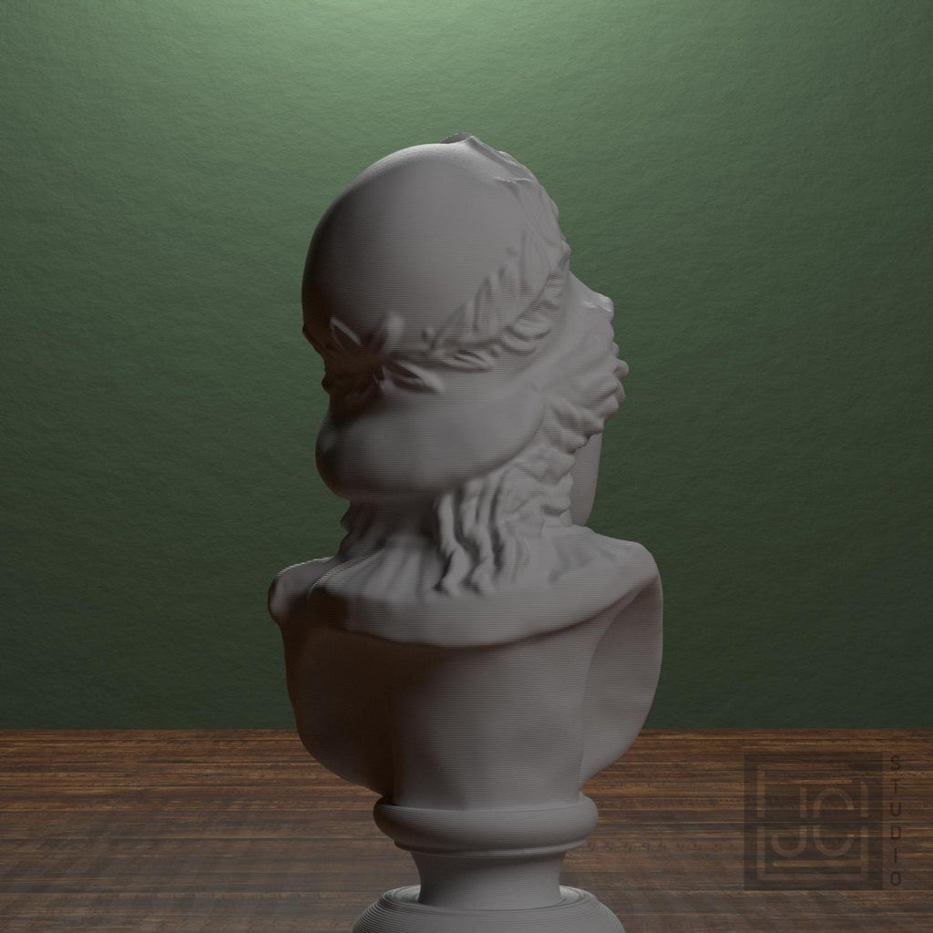 Bust of Minerva supplemental reference photo 4