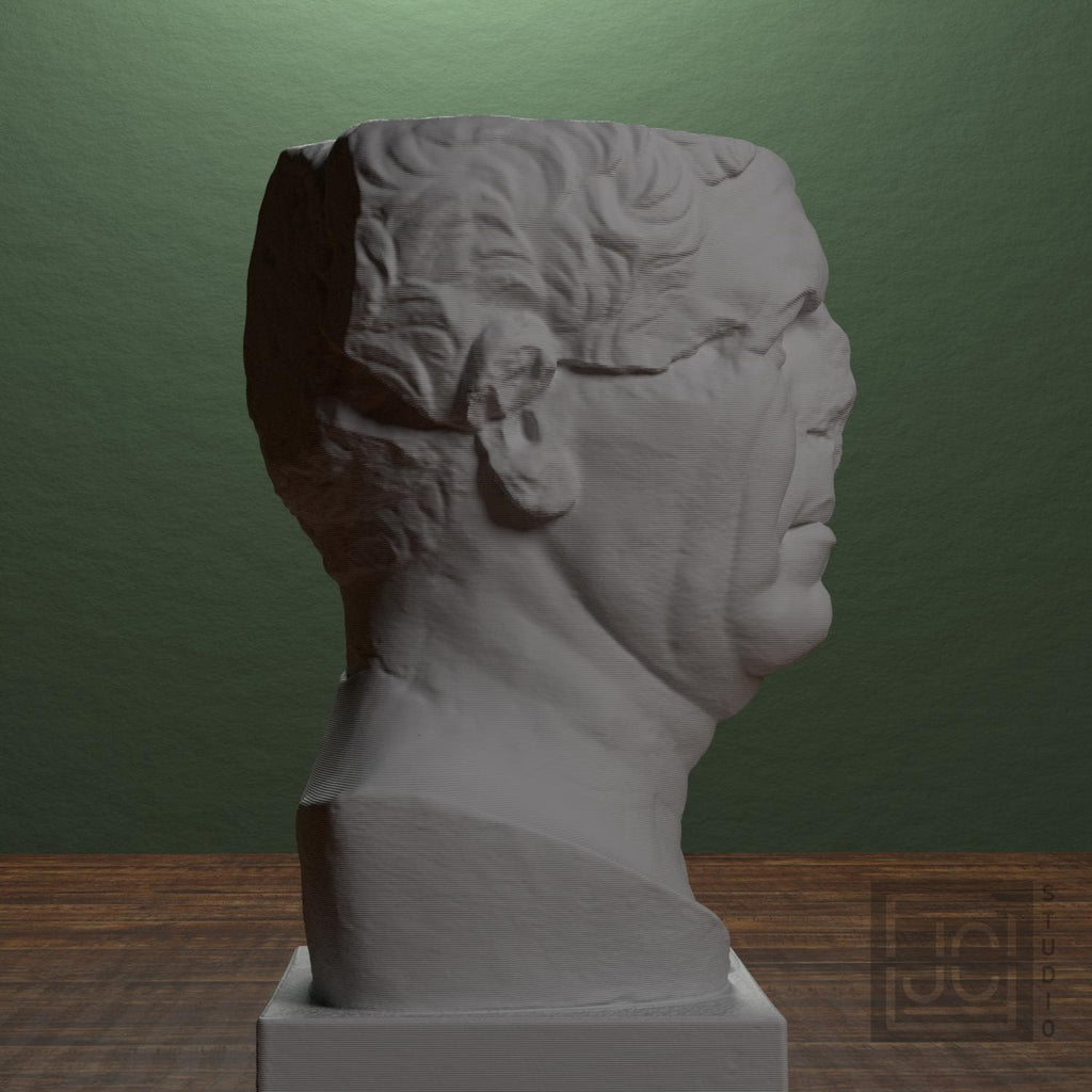 Portrait of a Roman the so-called 'Tivoli General' supplemental reference photo 2