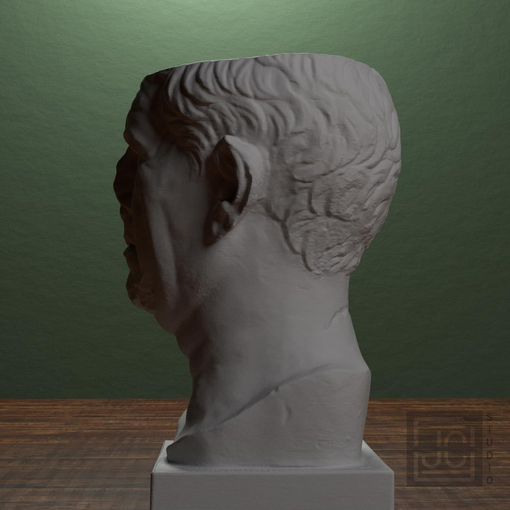 Portrait of a Roman the so-called 'Tivoli General' supplemental reference photo 4