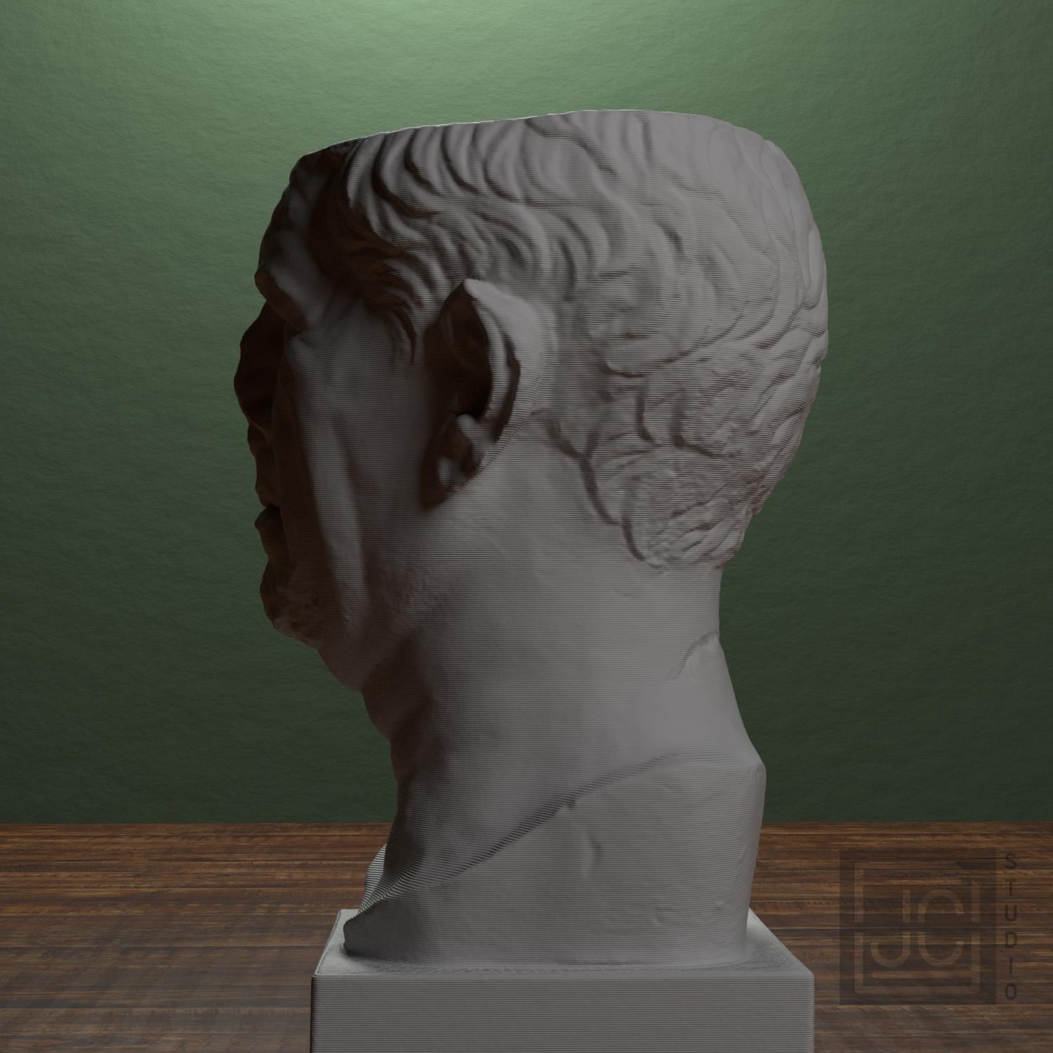 Portrait of a Roman the so-called 'Tivoli General' supplemental reference photo 4
