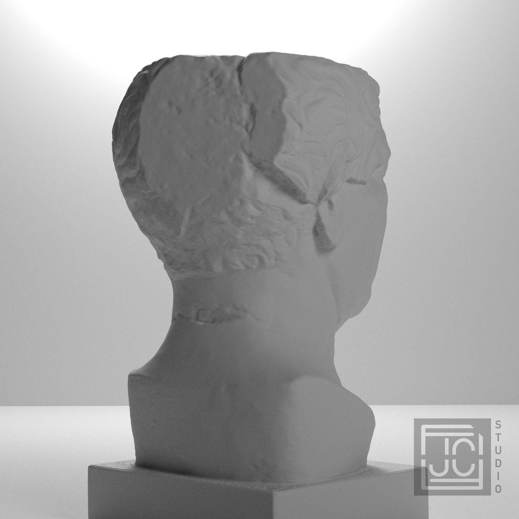 Portrait of a Roman the so-called 'Tivoli General' supplemental reference photo 8
